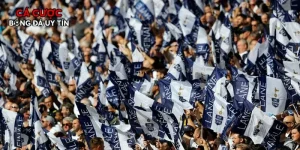 Vsbet tài trợ câu lạc bộ Tottenham hostpur cực khủng